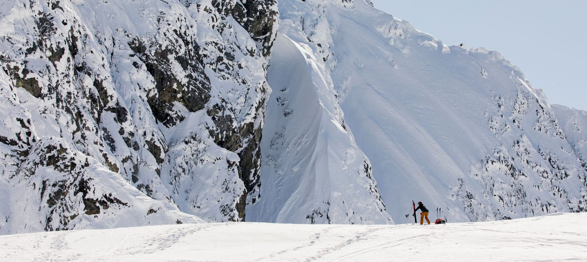 Splitboard Skins