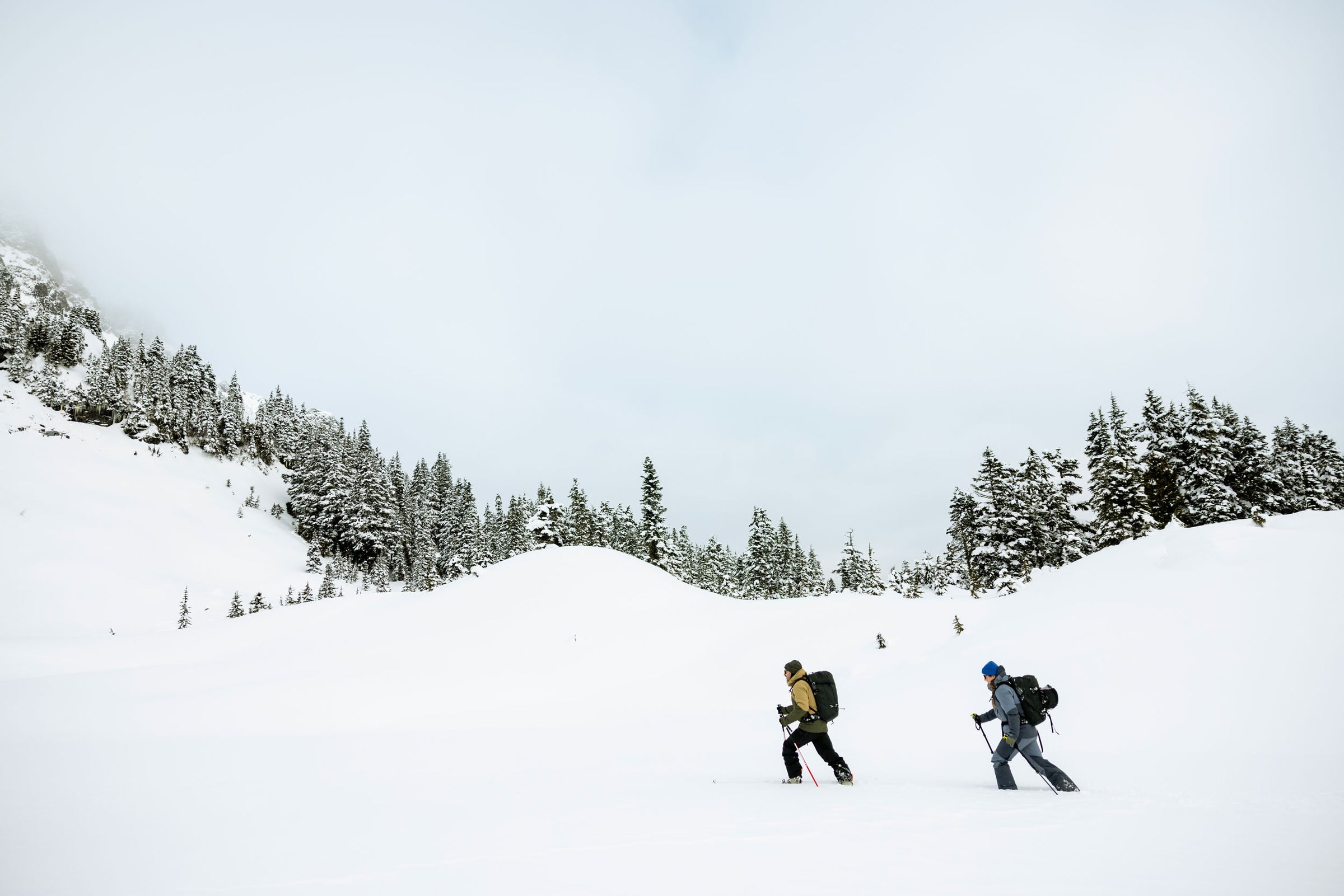 Explore G3 Bindings | What's the Difference Between ZED and ION