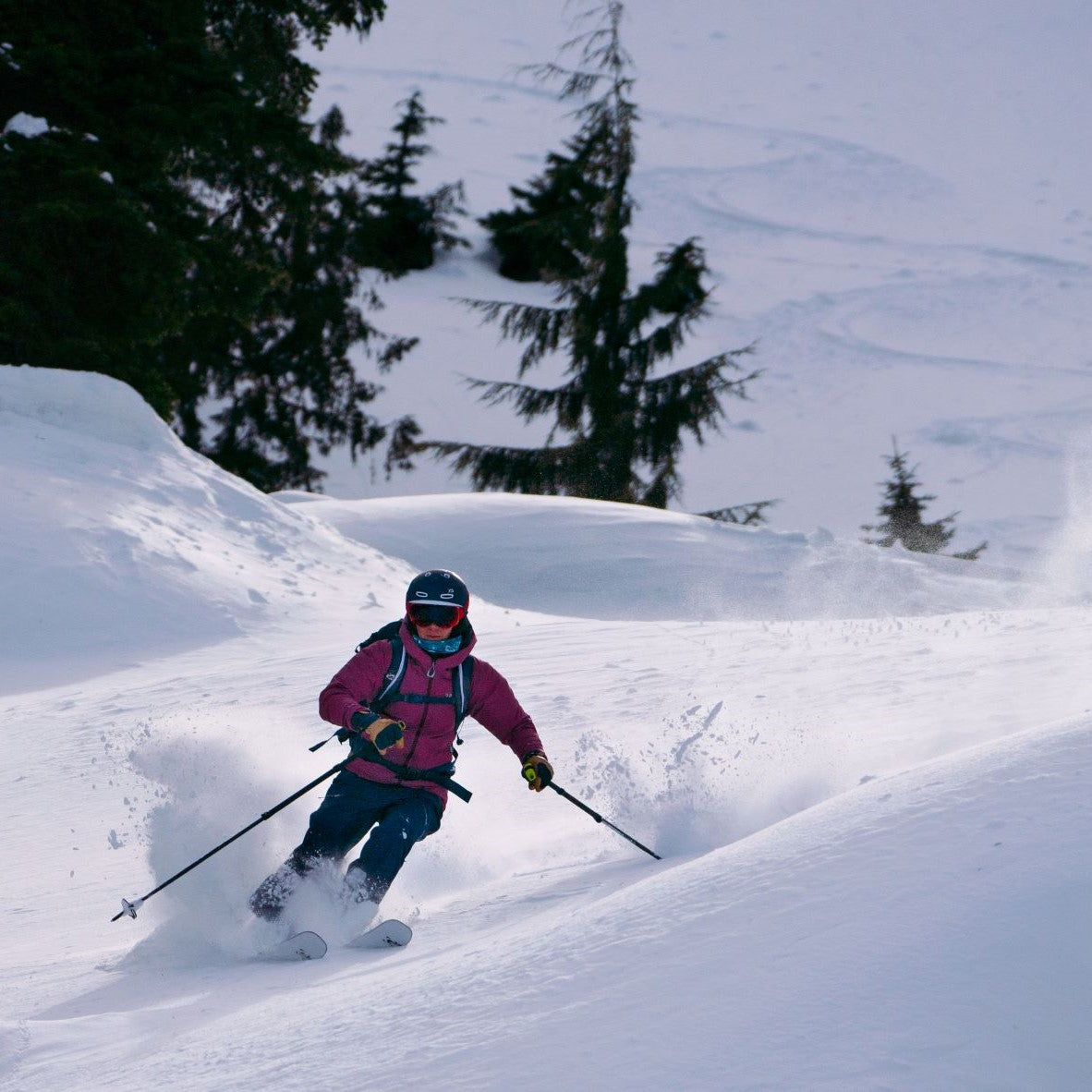Explore Skiing – G3 Genuine Guide Gear Explore Skiing – G3 Genuine Guide Gear