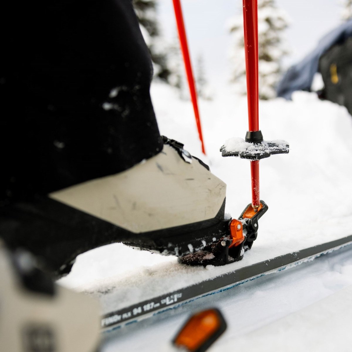 FIXIE Ski Poles - Poles - G3 Genuine Guide Gear