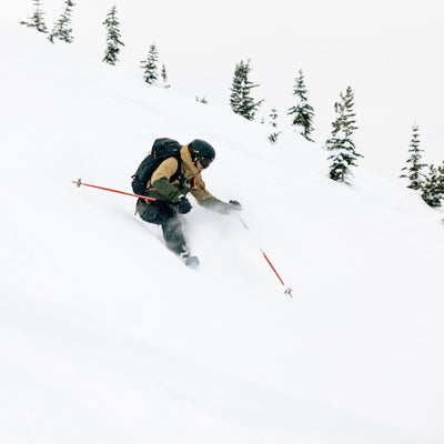 FIXIE Ski Poles - Poles - G3 Genuine Guide Gear