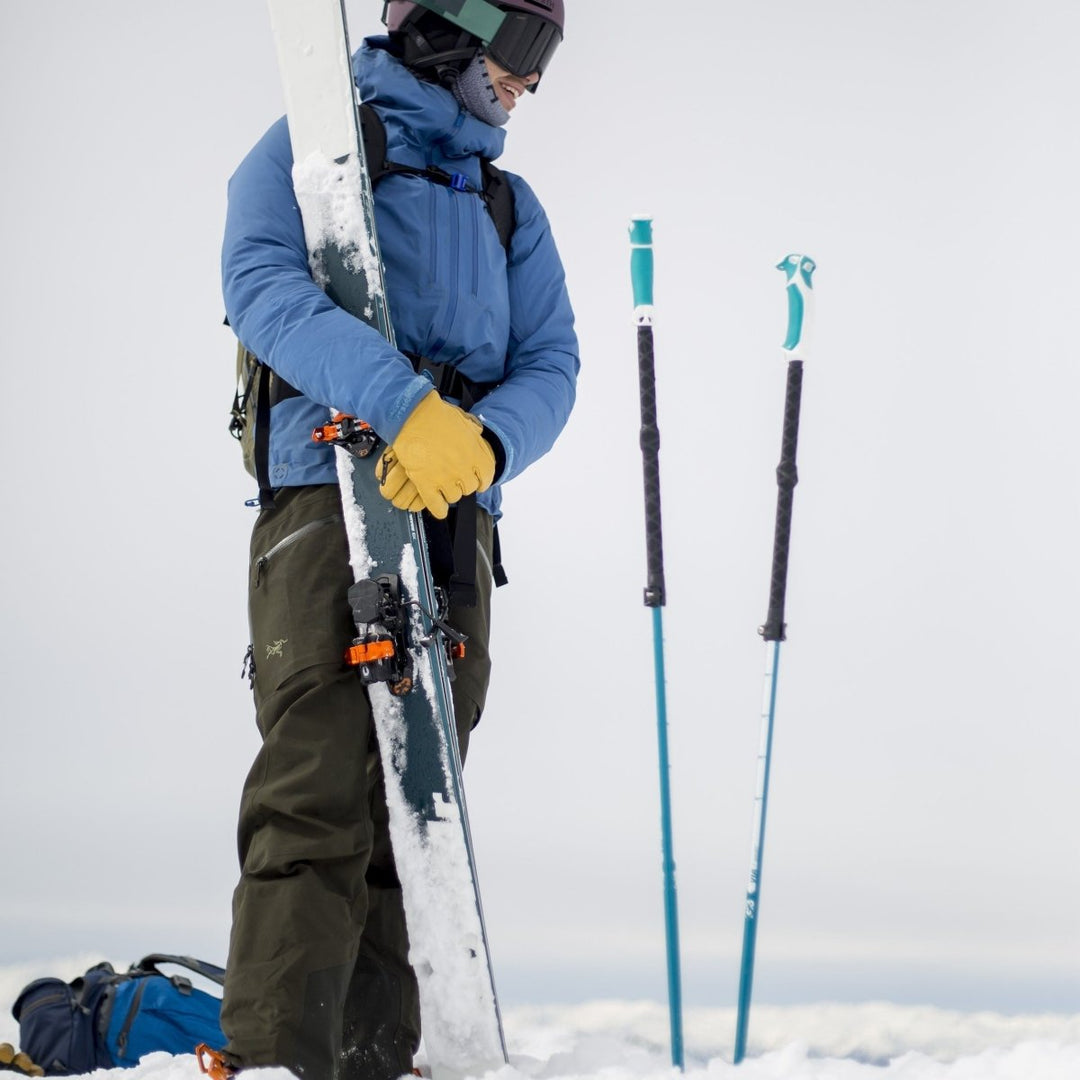 backcountry cross country ski poles VIA Ski Poles - Poles